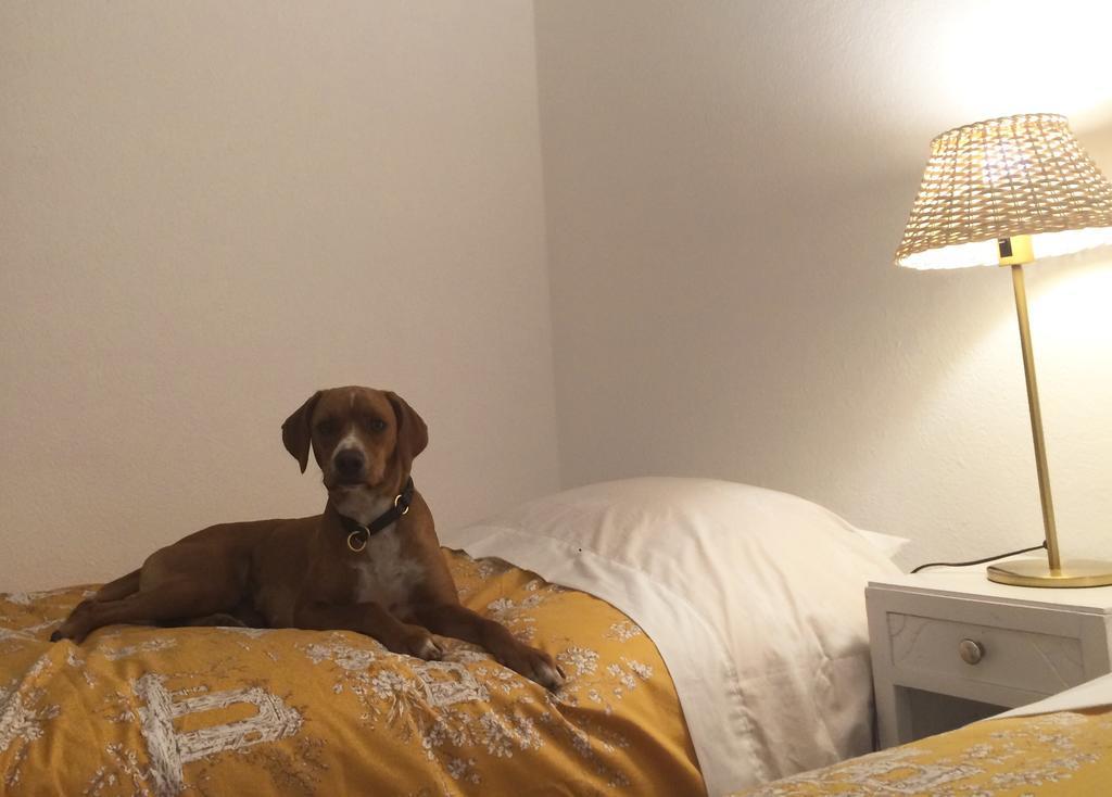 Inn Golega Room photo